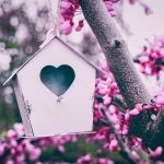 installare antifurto casa