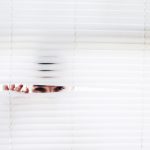 telecamere di sicurezza finte
