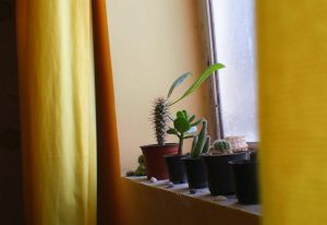 micro telecamera WiFi